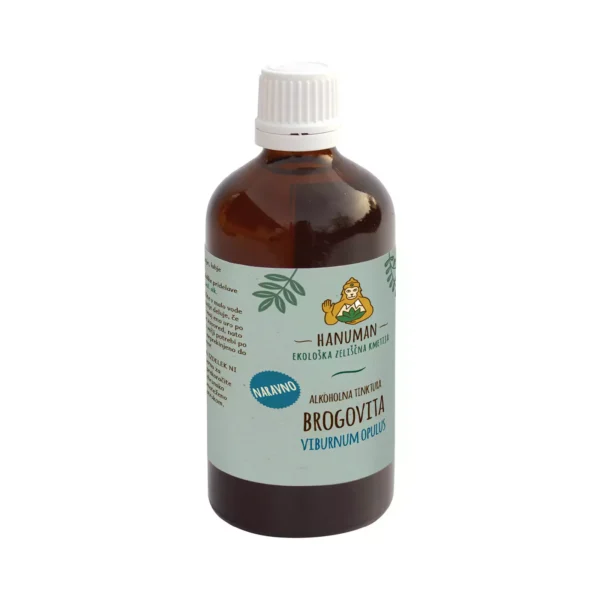 Navadna brogovita tinktura 100 ml - EKO