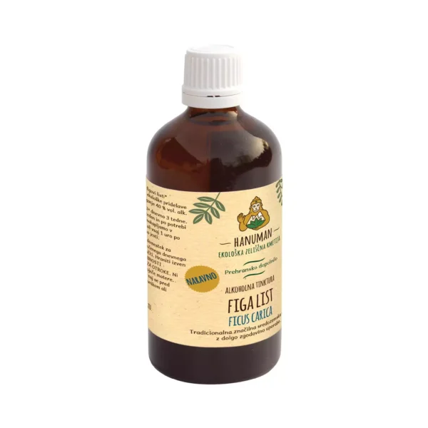 Figa list tinktura 100 ml - EKO